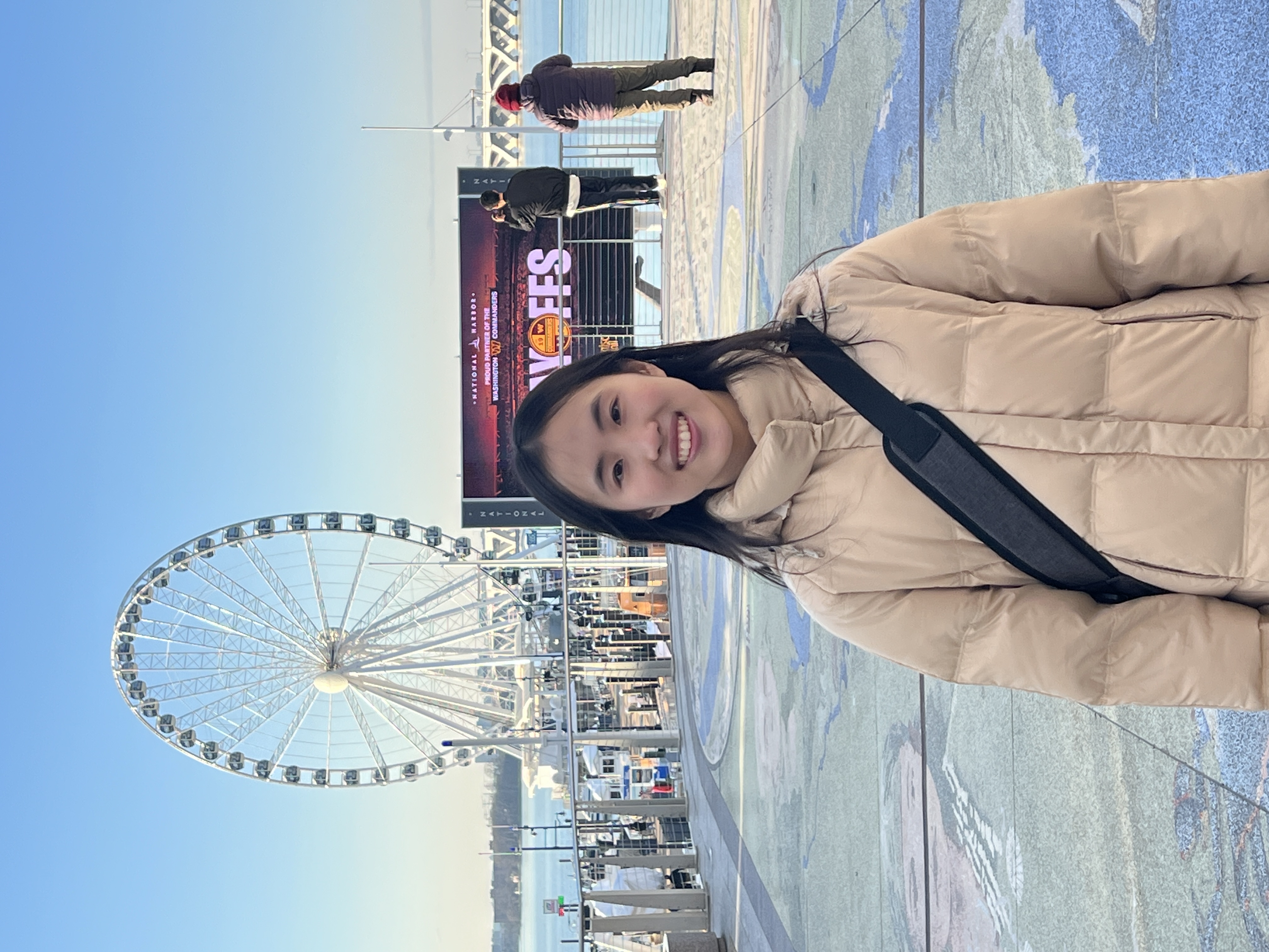 Infront of ferris wheel